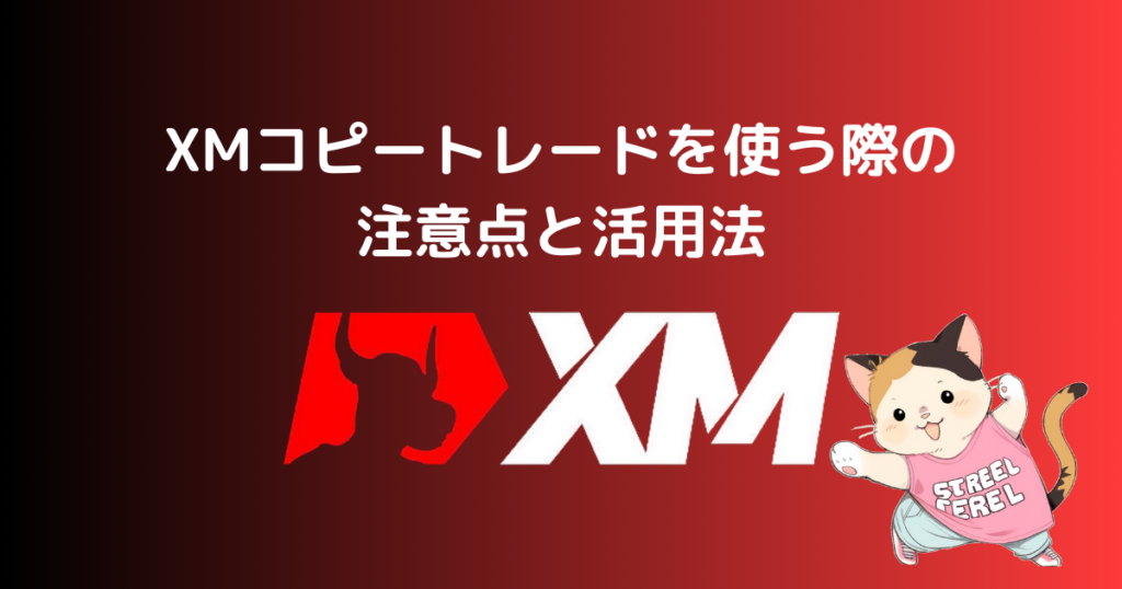 XMコピートレードを使う際の注意点と活用法