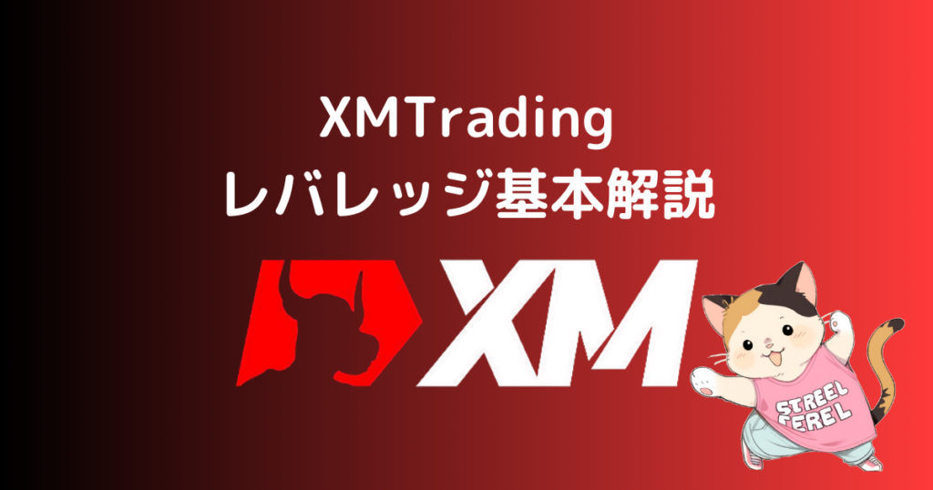 XMのレバレッジの基本解説