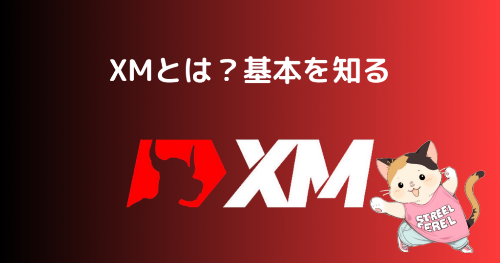 XMとは？基本を知る