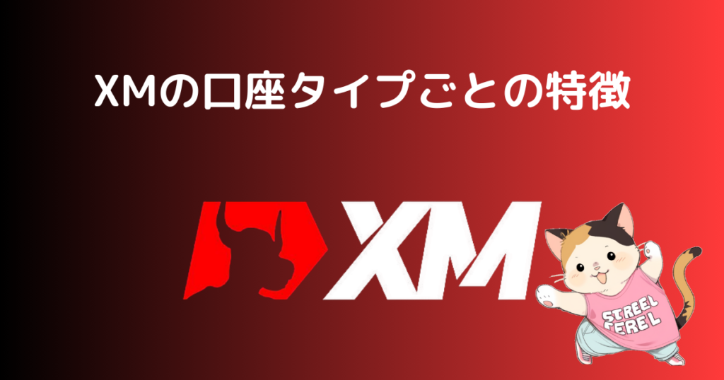 XMの口座タイプごとの特徴