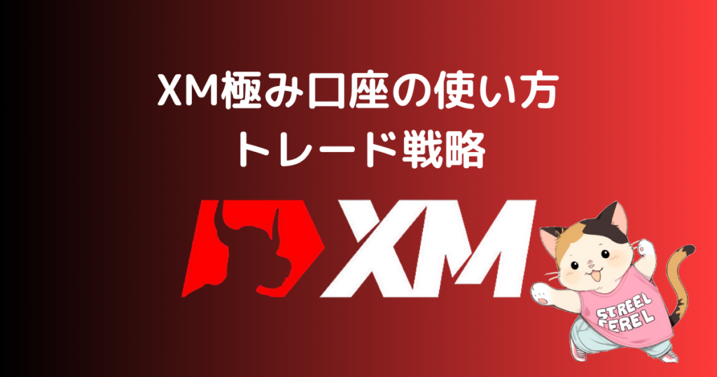 XM極み口座の使い方とトレード戦略