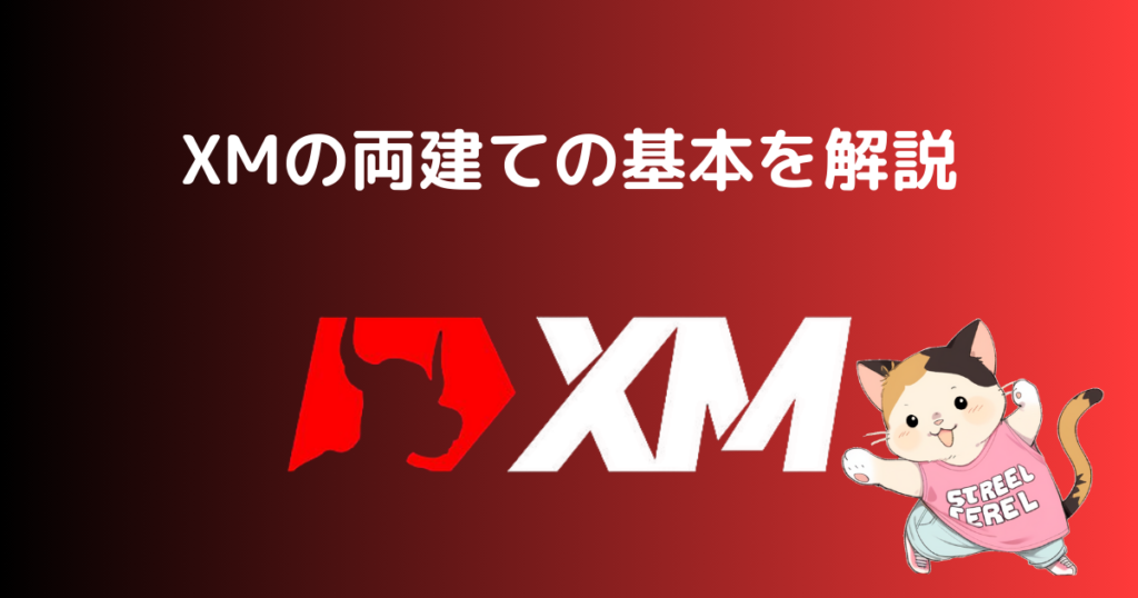 XMの両建ての基本を解説