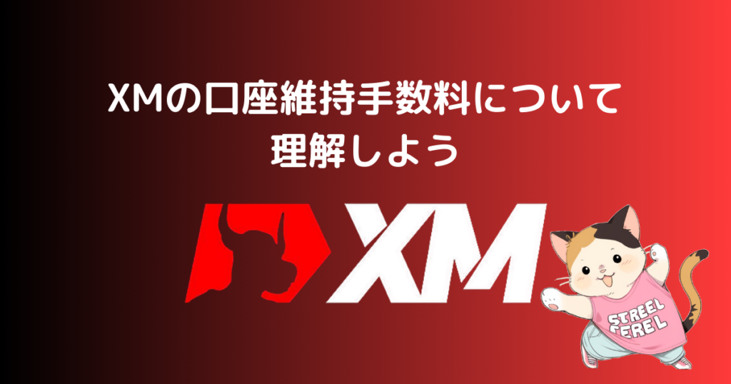 XMの口座維持手数料について理解しよう